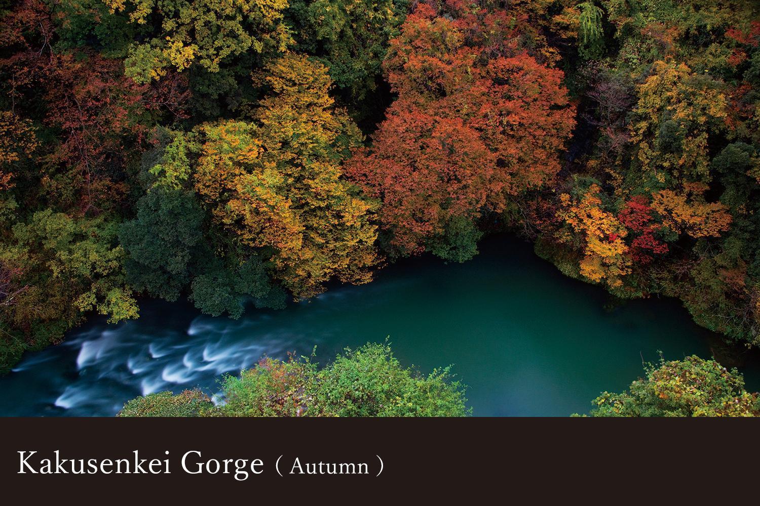 Yamanaka Onsen Kissho Yamanaka Hotell Kaga  Exteriör bild