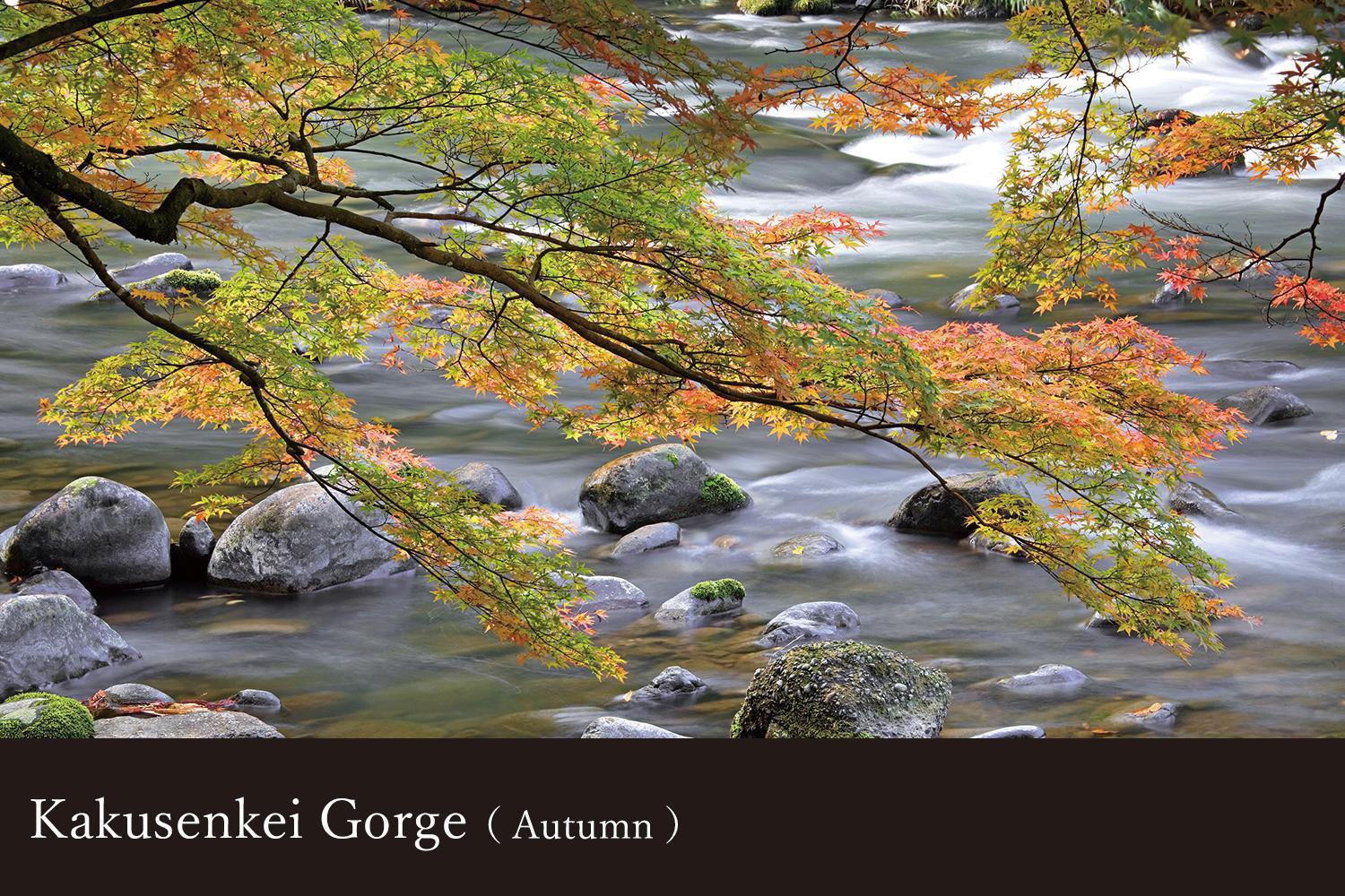 Yamanaka Onsen Kissho Yamanaka Hotell Kaga  Exteriör bild